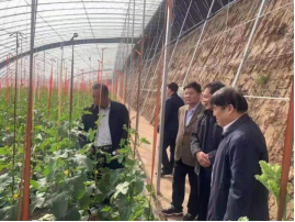 张忠远董事长一行考察、调研潍坊国家农业开放发展综合试验区