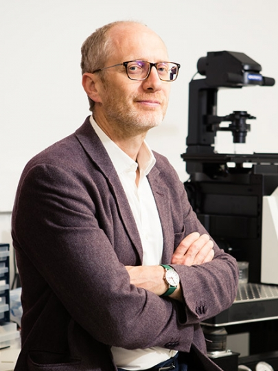 给石墨片加点氧，怎么就发Nature Materials了？