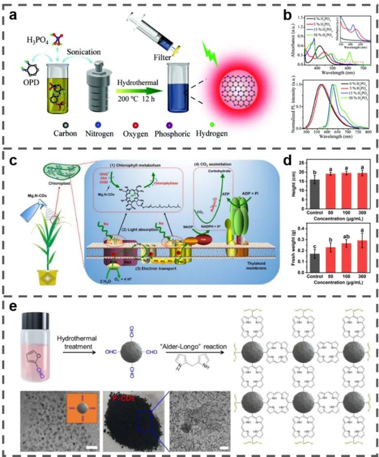 南工大陈苏团队《Small》：碳点的大规模制备方法及其应用存在问题与展望