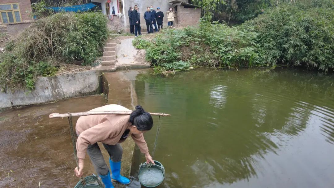 资讯丨全省首座水魔方-石墨烯协同水体原位净化装置在自贡建成