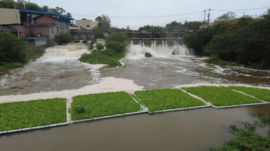 资讯丨全省首座水魔方-石墨烯协同水体原位净化装置在自贡建成