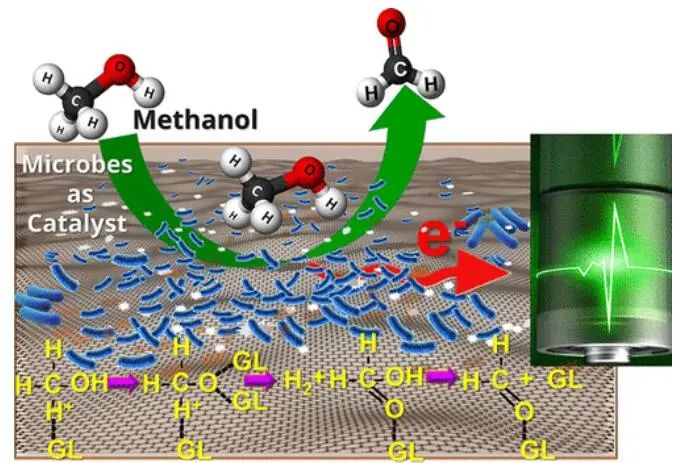 【电极涂层】ACS Nano: 用作微生物甲醇燃料电池铜电极的最薄石墨烯涂层