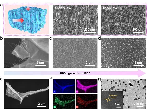 苏州纳米所李清文、勇振中等合作CEJ：电磁屏蔽性能优异的多功能钴镍负载石墨烯/碳纳米管泡沫