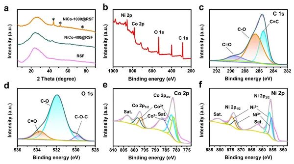 苏州纳米所李清文、勇振中等合作CEJ：电磁屏蔽性能优异的多功能钴镍负载石墨烯/碳纳米管泡沫