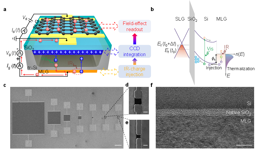 浙大徐杨、高超等团队《Nature Electronics》：石墨烯/硅室温宽光谱光电探测器
