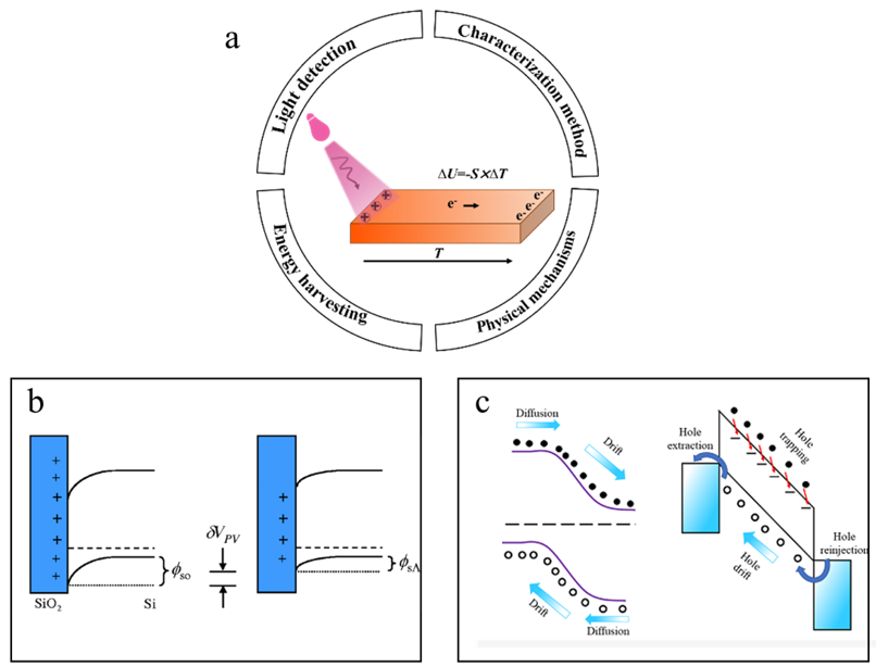 发光学报 | 石墨烯：引领光电器件发展的新“舵手”