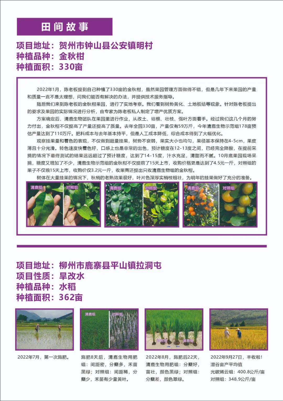 清鹿简报 | 第01期