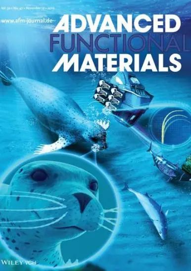 格罗宁根大学AFM封面论文 : 利用3D 打印石墨烯压阻式传感器解释波浪状海豹胡须的超灵敏尾迹跟踪能力