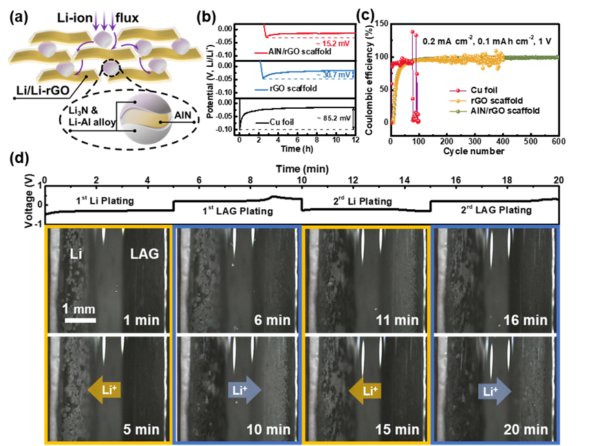 浙江大学涂江平教授EnSM：Li3N/Li-Al合金助力超薄石墨烯基锂金属负极应用于固态电池