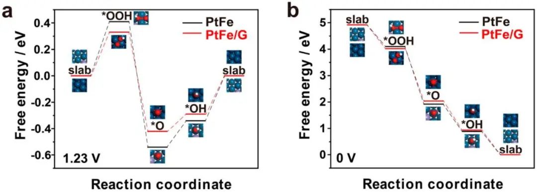 李剑锋/张华/陈卓ACS Catalysis：用于ORR的石墨烯分离卫星纳米结构