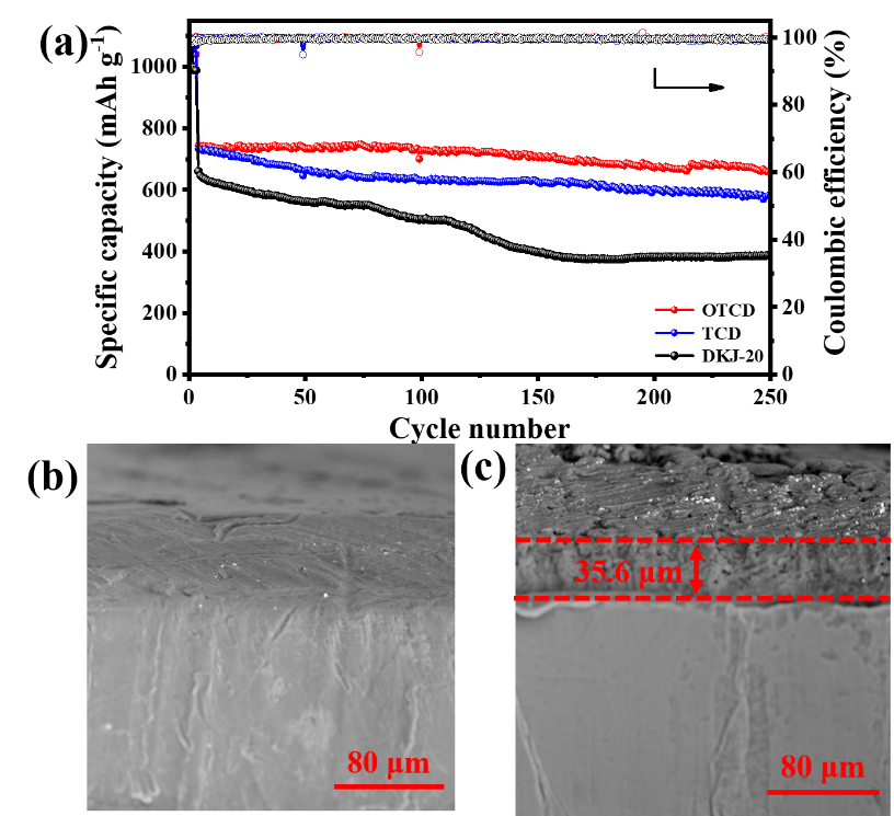 ChemElectroChem：三维互联类石墨烯碳-金红石型二氧化钛改性隔膜 在锂硫电池中的性能研究