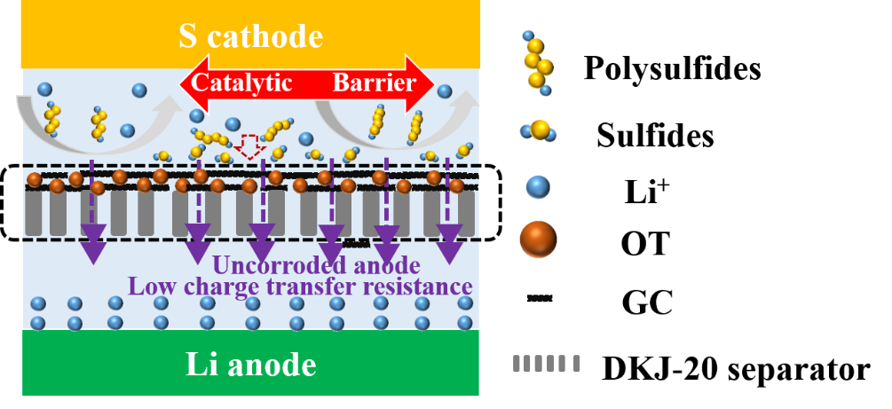 ChemElectroChem：三维互联类石墨烯碳-金红石型二氧化钛改性隔膜 在锂硫电池中的性能研究