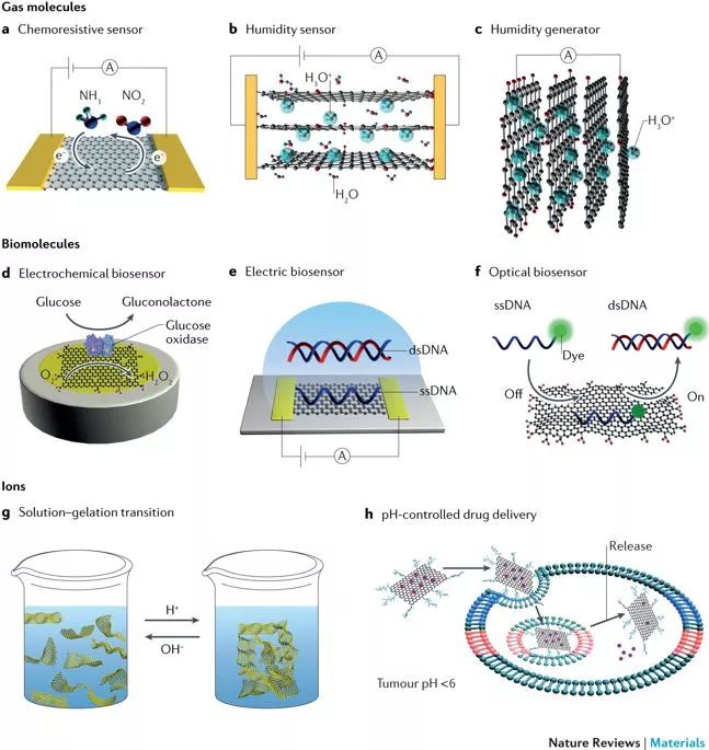 Nature：综述-基于石墨烯的智能材料的种类、制备方法、应用（荐读）！