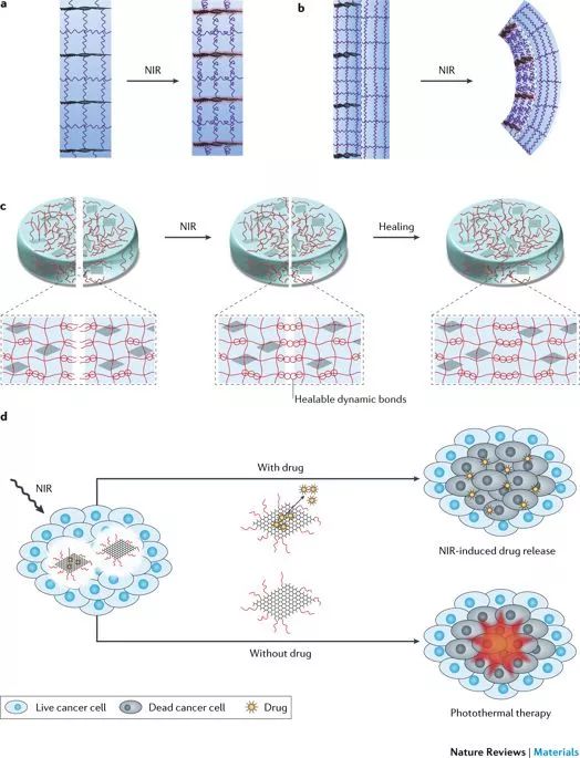 Nature：综述-基于石墨烯的智能材料的种类、制备方法、应用（荐读）！
