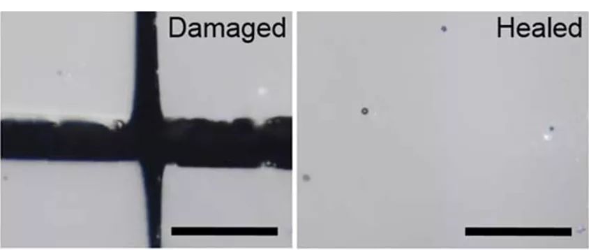 城大全球首创智能材料，具有极强的自我修复能力