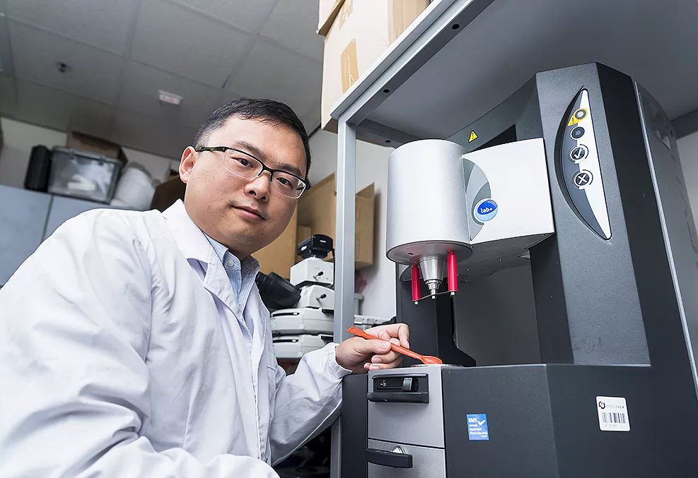 城大全球首创智能材料，具有极强的自我修复能力