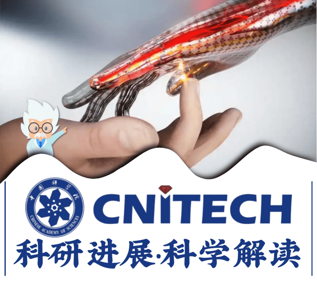 宁波材料所在具有疼痛感知功能的仿生皮肤中取得进展