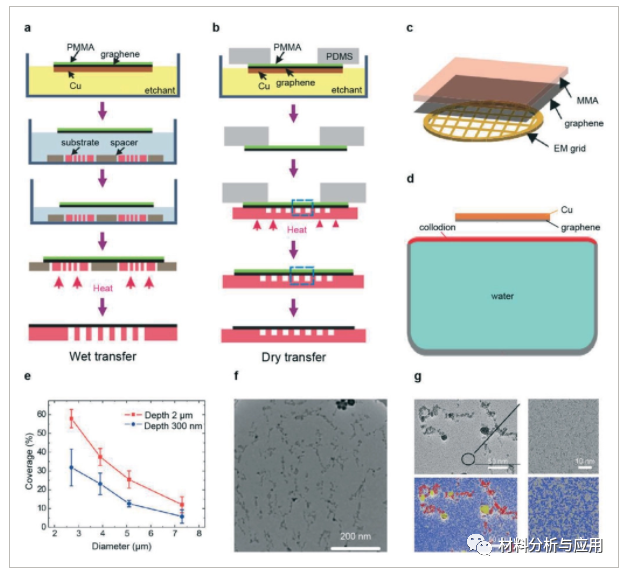 北大彭海琳课题组《AFM》：综述-用于多维电子显微成像的石墨烯膜：制备、应用与展望