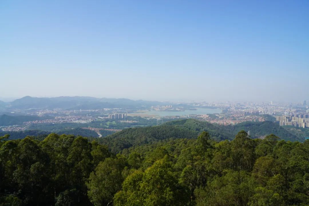 迎新年 启新程 攀新峰 | 墨睿科技开年攀登活动