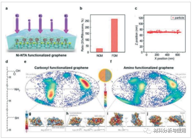 北大彭海琳课题组《AFM》：综述-用于多维电子显微成像的石墨烯膜：制备、应用与展望
