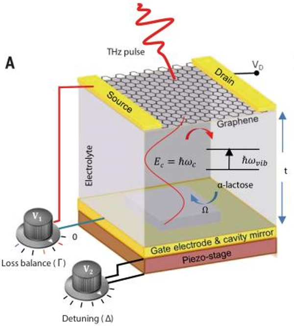 Science | 电调谐石墨烯器件“控制”太赫兹波