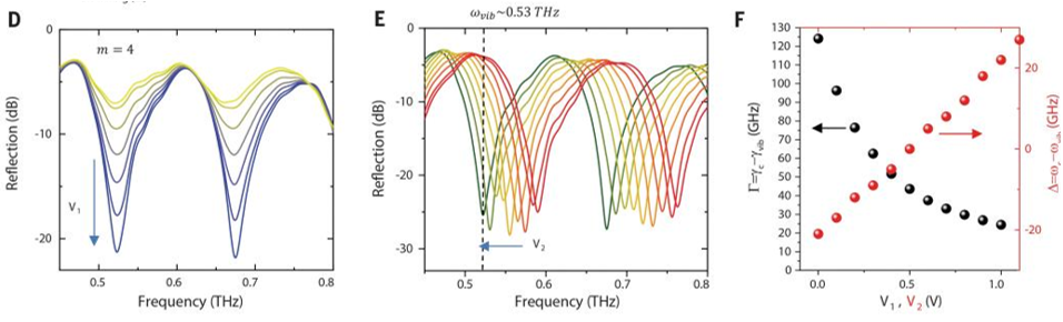 Science | 电调谐石墨烯器件“控制”太赫兹波