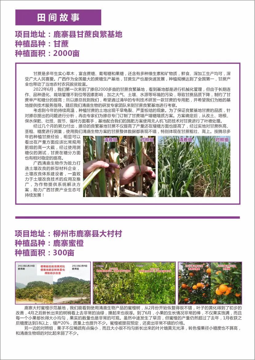 清鹿简报 | 第02期