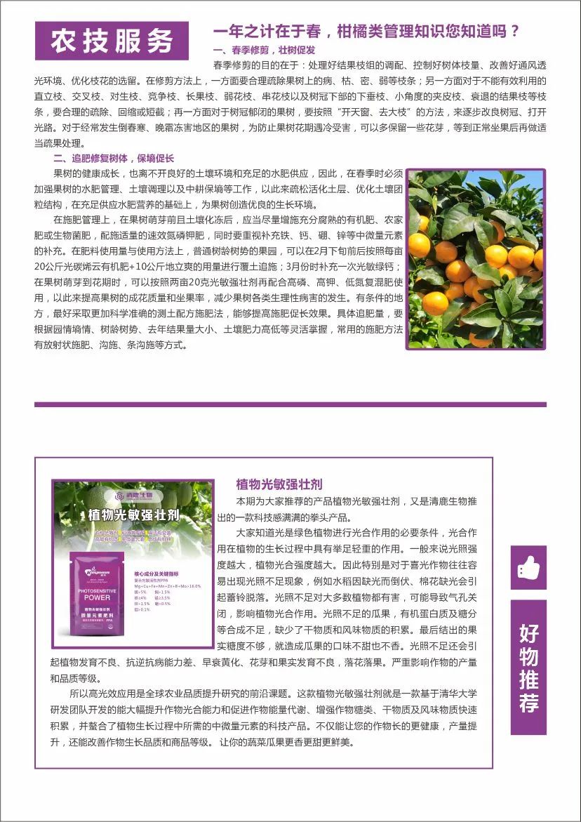 清鹿简报 | 第02期