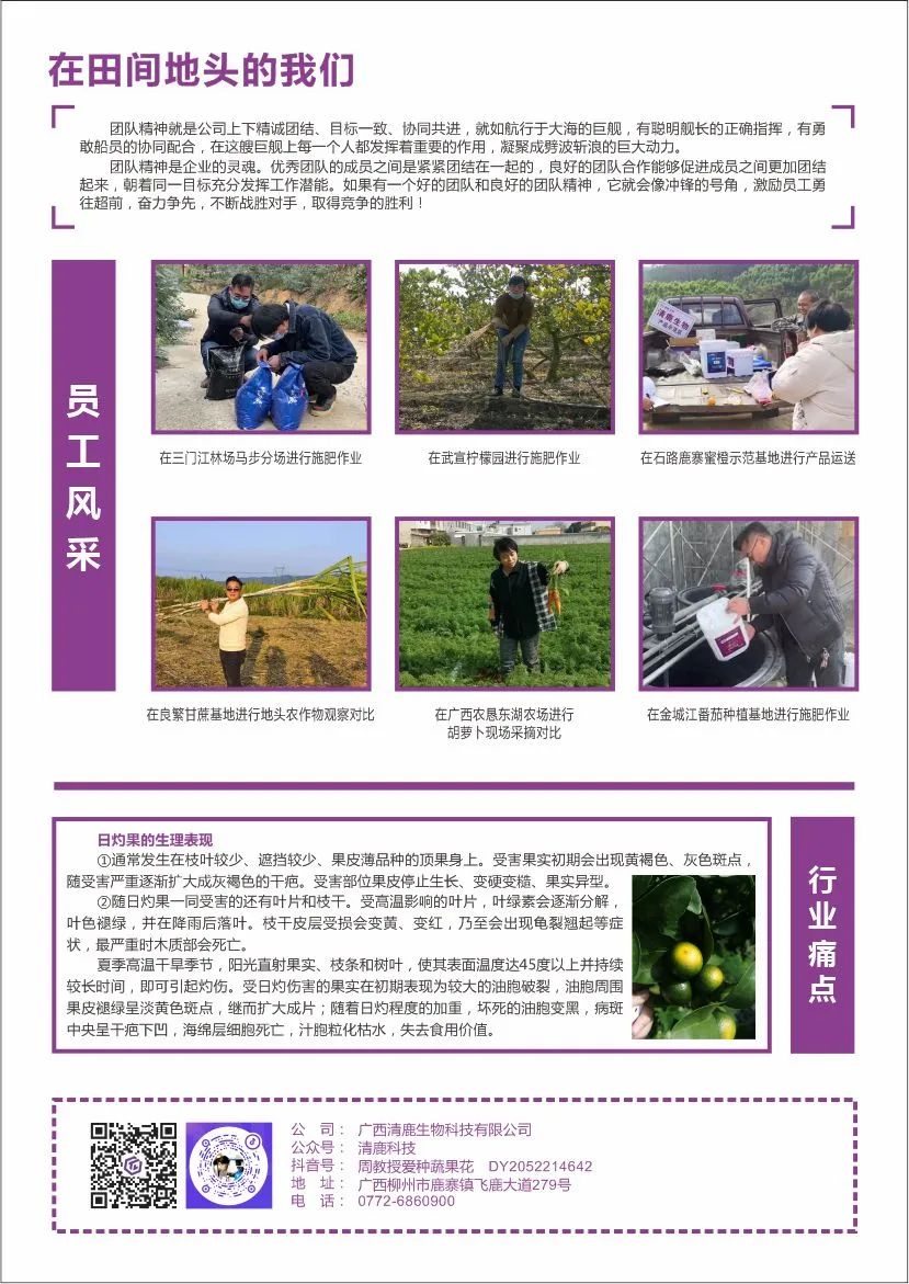 清鹿简报 | 第02期