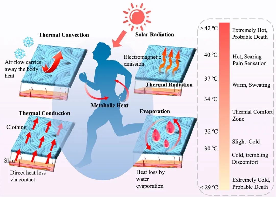 香港城市大学胡金莲教授《ACS Nano》:热管理服装的最新进展——材料、机制和前景