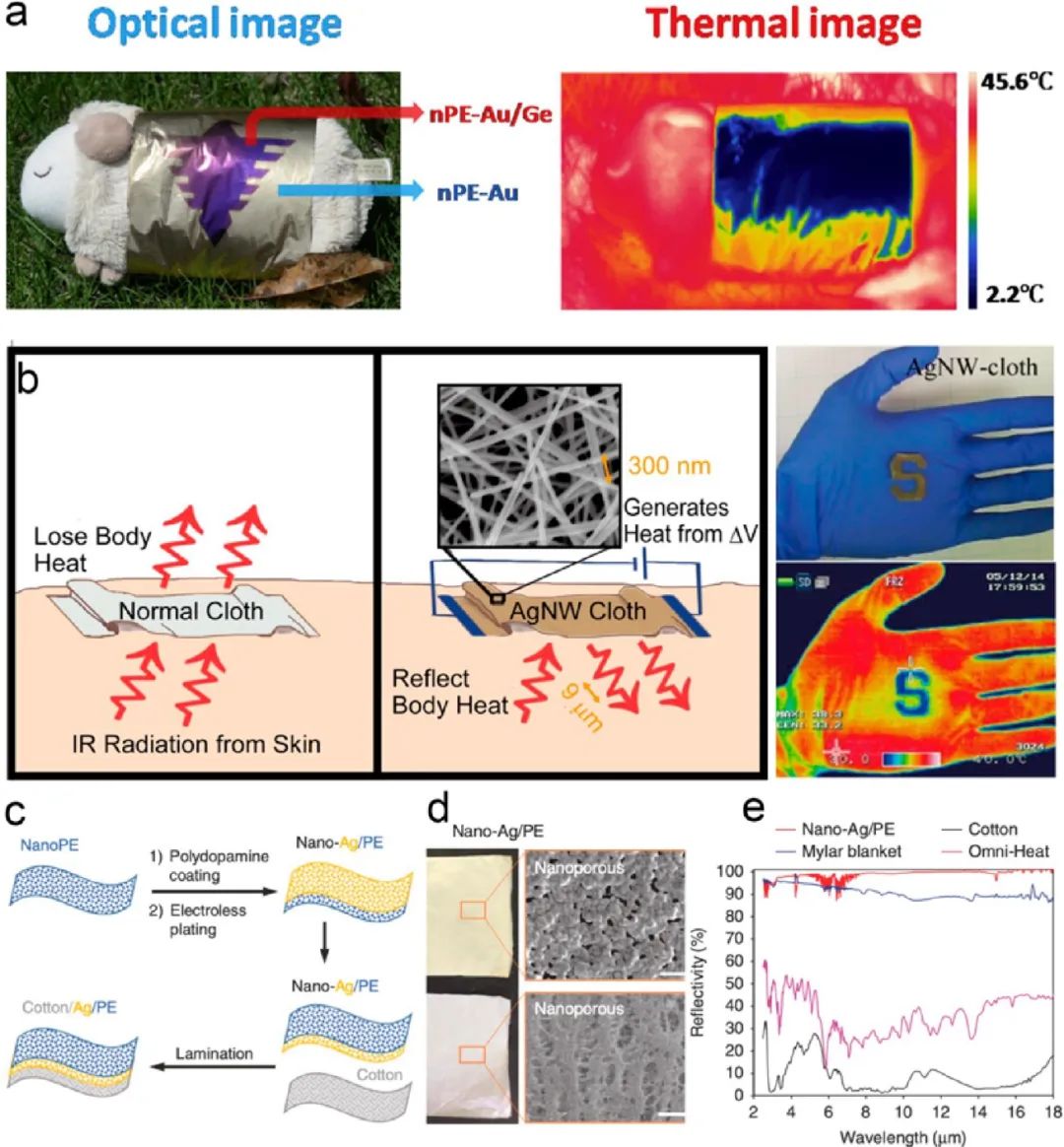 香港城市大学胡金莲教授《ACS Nano》:热管理服装的最新进展——材料、机制和前景