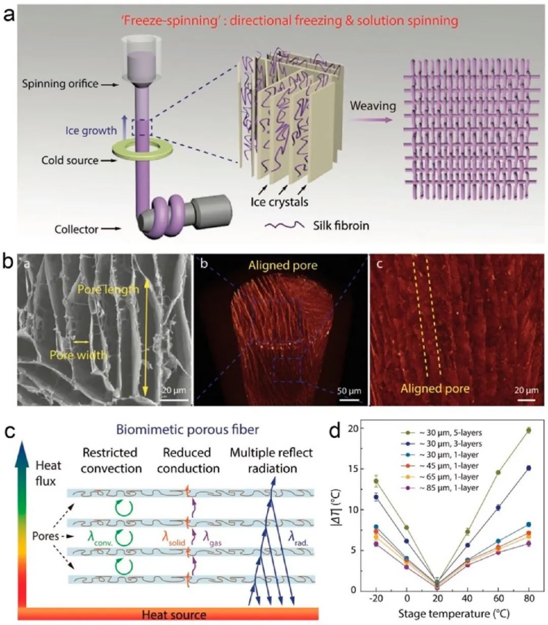 香港城市大学胡金莲教授《ACS Nano》:热管理服装的最新进展——材料、机制和前景
