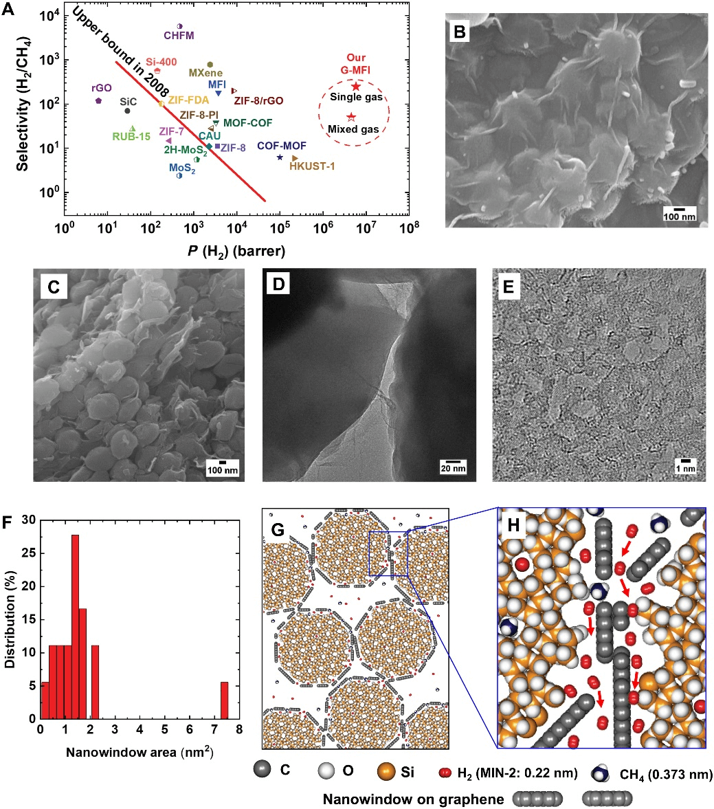 今日Science子刊：想要分离更有利？还得加点石墨烯！