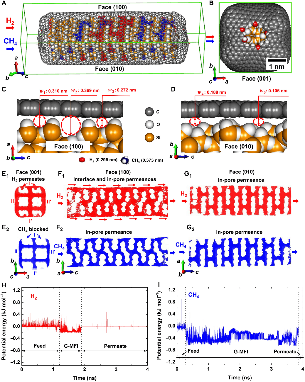 今日Science子刊：想要分离更有利？还得加点石墨烯！