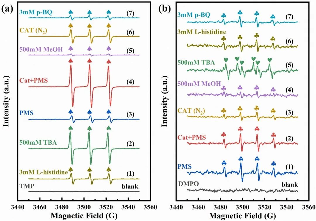 文献速递|西安建筑科技大学朱维晃教授PSEP:一种基于金属有机框架和氧化石墨烯的过硫酸氢盐激活剂在污染物去除中的应用