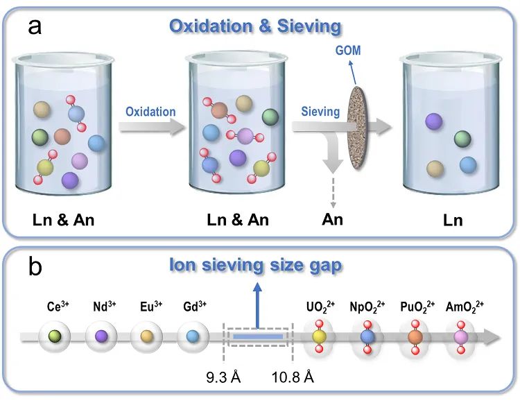 【材料】清华大学徐超/陆跃翔Nat. Commun.：基于氧化石墨烯离子筛分膜的镧系/锕系元素组分离