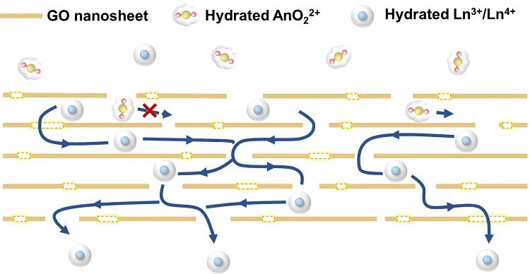 【材料】清华大学徐超/陆跃翔Nat. Commun.：基于氧化石墨烯离子筛分膜的镧系/锕系元素组分离