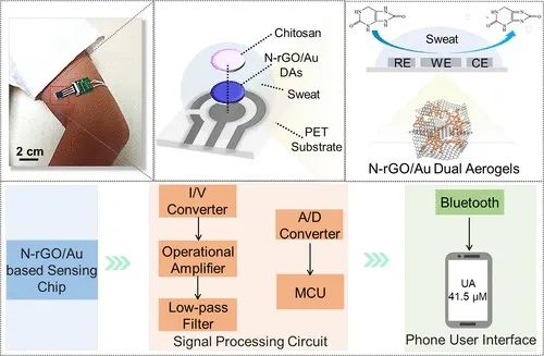 西北工业大学文丹Anal Chem:基于氮掺杂还原氧化石墨烯/金双气凝胶的非酶汗液穿戴式尿酸传感器