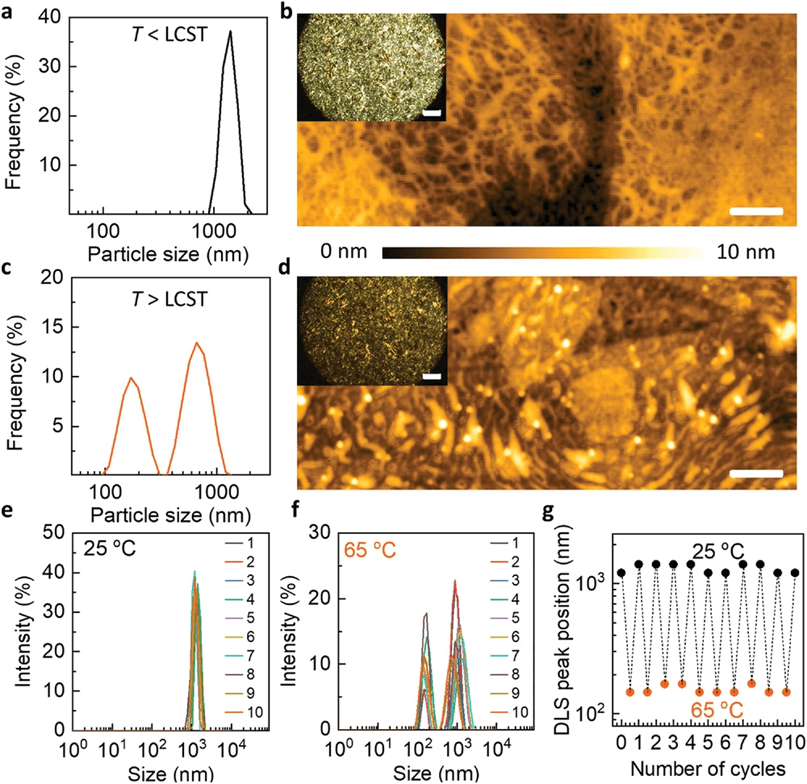 《AFM》新加坡国立：基于二维石墨烯-纤维素水凝胶的电温控水阀！