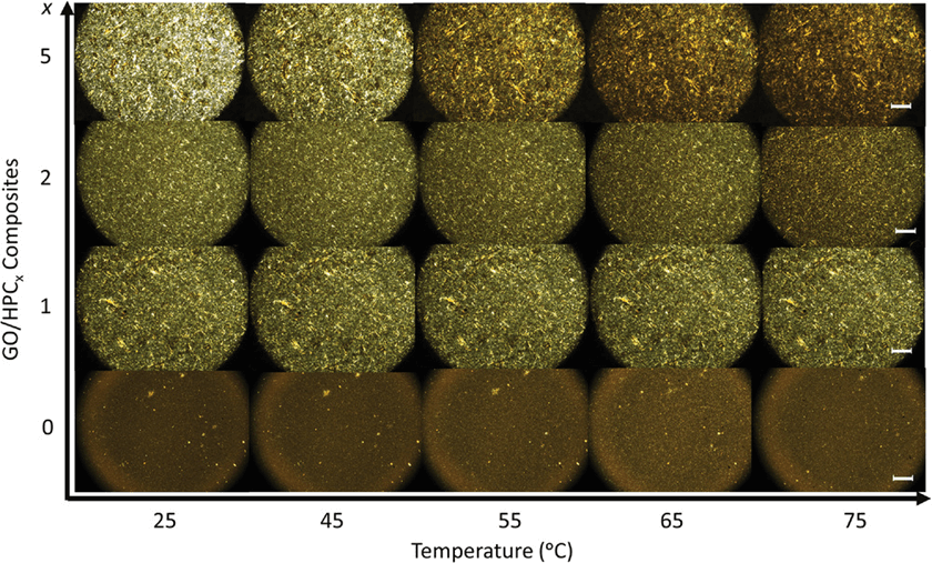 《AFM》新加坡国立：基于二维石墨烯-纤维素水凝胶的电温控水阀！