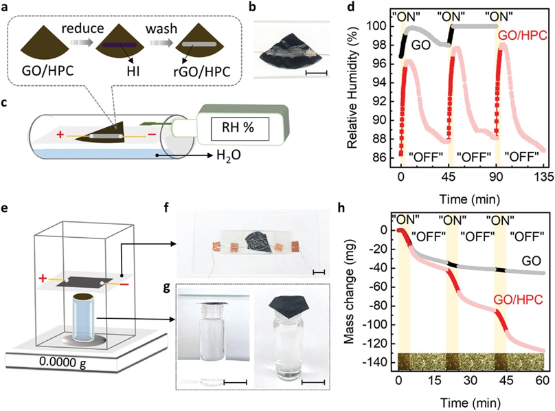 《AFM》新加坡国立：基于二维石墨烯-纤维素水凝胶的电温控水阀！
