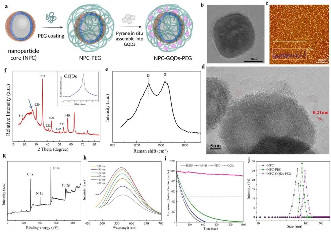 Adv. Mater.: 植入石墨烯量子点用于靶向增强肿瘤成像和局部药代动力学长期可化视
