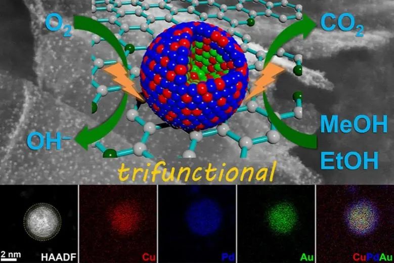 章俊良教授、沈水云副教授，ACS Nano：超细核壳结构纳米点协同3D多孔N掺杂石墨烯纳米片作为高效多功能电催化剂