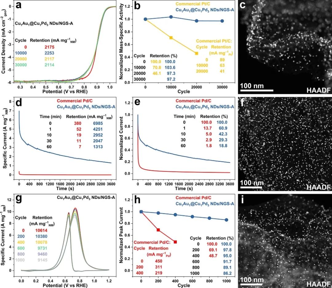 章俊良教授、沈水云副教授，ACS Nano：超细核壳结构纳米点协同3D多孔N掺杂石墨烯纳米片作为高效多功能电催化剂