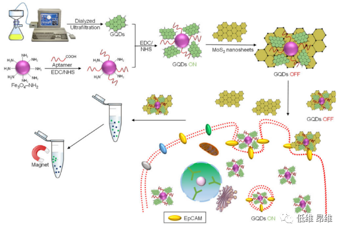 石墨烯传感器应用综述