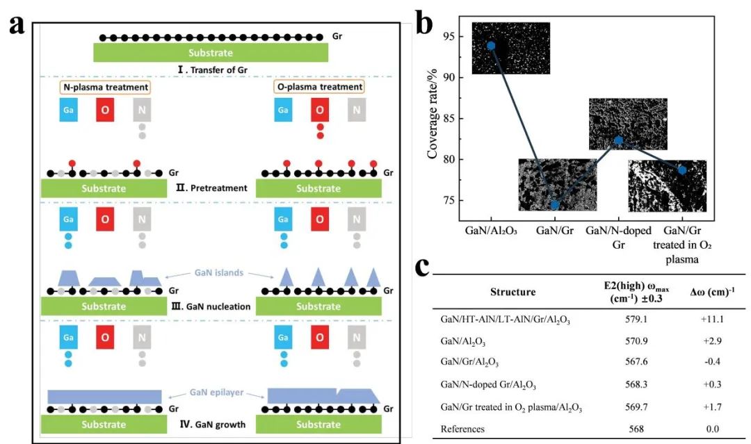 SCMs|氮掺杂单层石墨烯上无中间层沉积高质量氮化镓