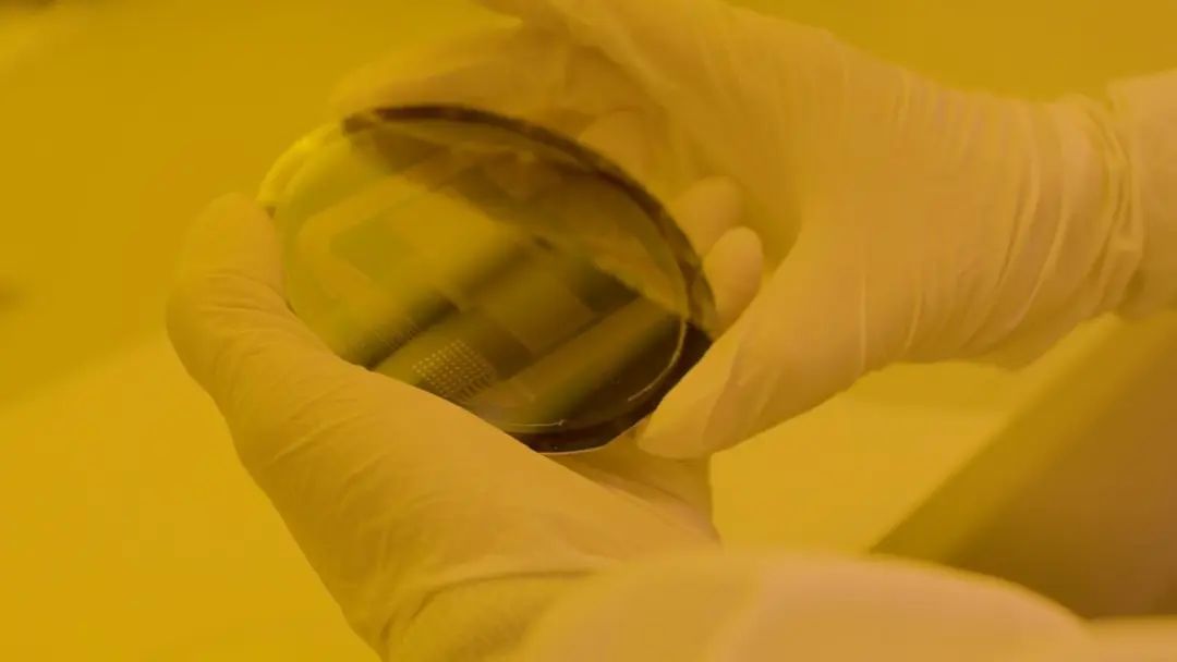 首次！基于石墨烯的界面将植入人体，用于高精度肿瘤干预