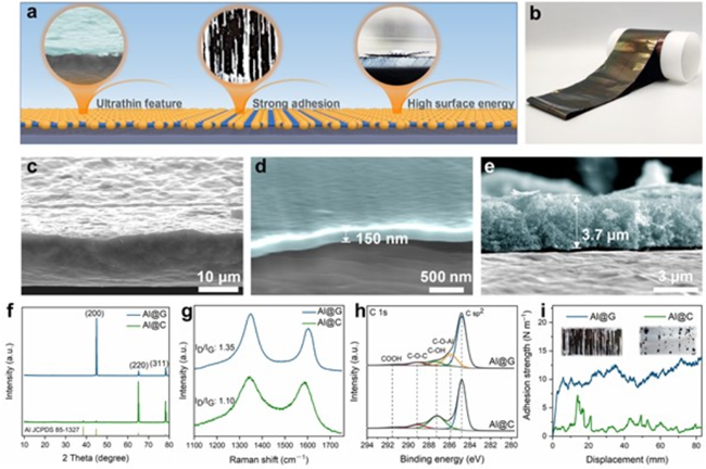 Adv. Mater.：石墨烯修饰铝集流体助力无负极钾金属电池