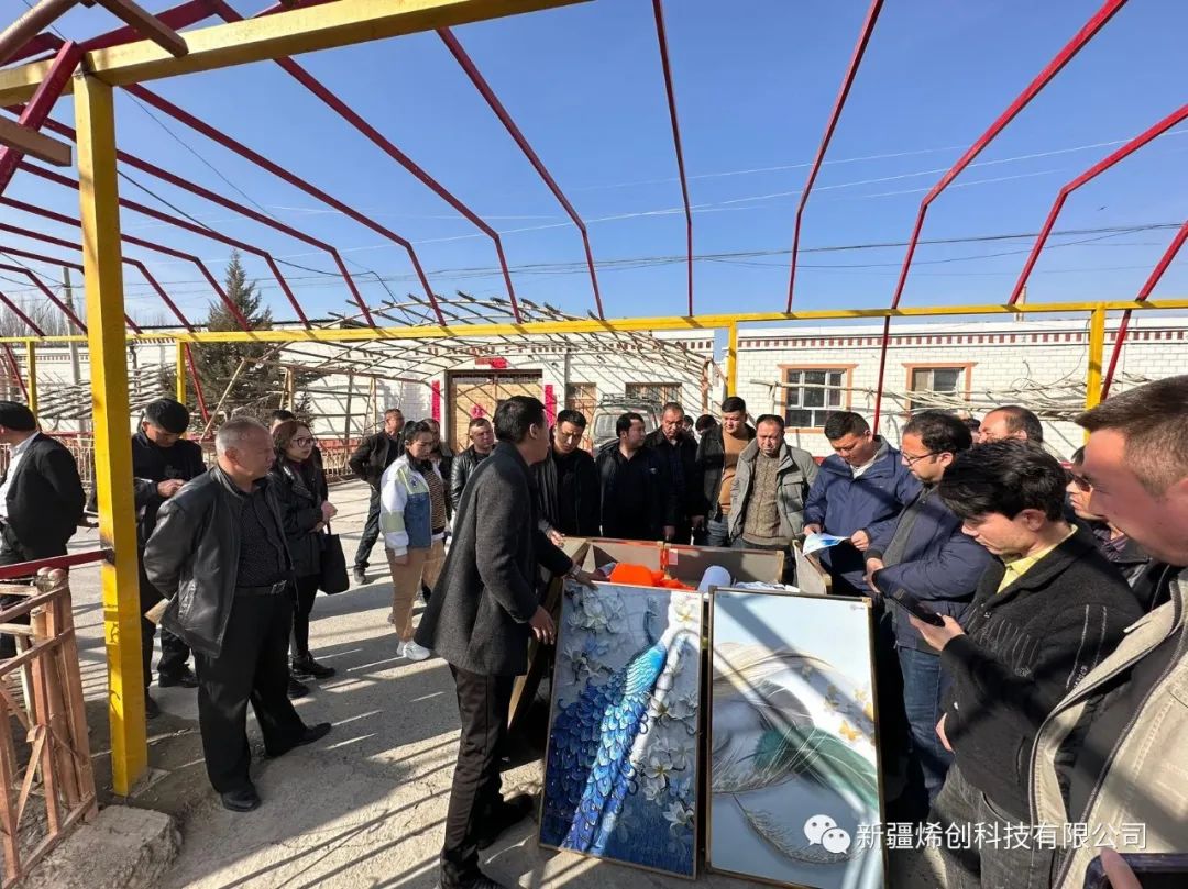 阿克苏市发改委组织煤改电产品观摩会