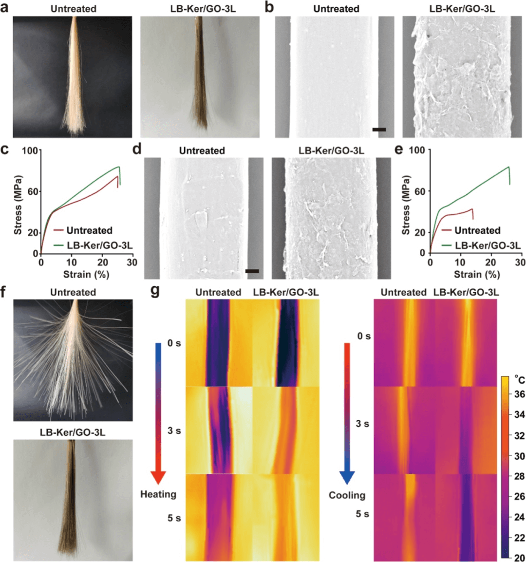 ​角蛋白/氧化石墨烯纳米复合材料实现高性能假发